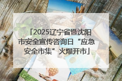 2025辽宁省暨沈阳市安全宣传咨询日“应急安全市集”火爆开市