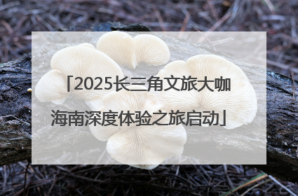2025长三角文旅大咖海南深度体验之旅启动