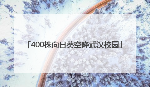 400株向日葵空降武汉校园