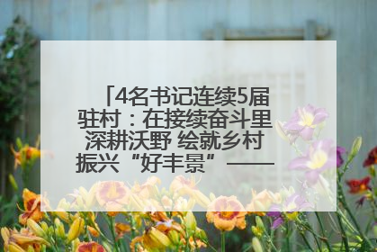 4名书记连续5届驻村：在接续奋斗里深耕沃野 绘就乡村振兴“好丰景”——浦发银行南京分行助力脱贫攻坚、帮促乡村振兴记事（二）