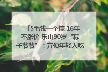 5毛钱一个粽 16年不涨价 乐山90岁“粽子爷爷”：方便年轻人吃口热乎早饭｜封面头条