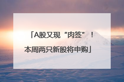 A股又现“肉签”！本周两只新股将申购