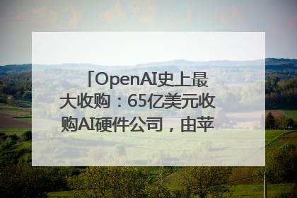 OpenAI史上最大收购：65亿美元收购AI硬件公司，由苹果前设计总监创办