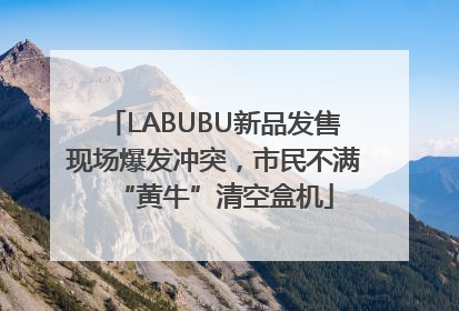 LABUBU新品发售现场爆发冲突，市民不满“黄牛”清空盒机